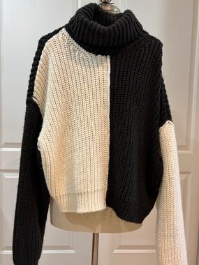 Colorblock Chunky Turtleneck Sweater Black & Cream
